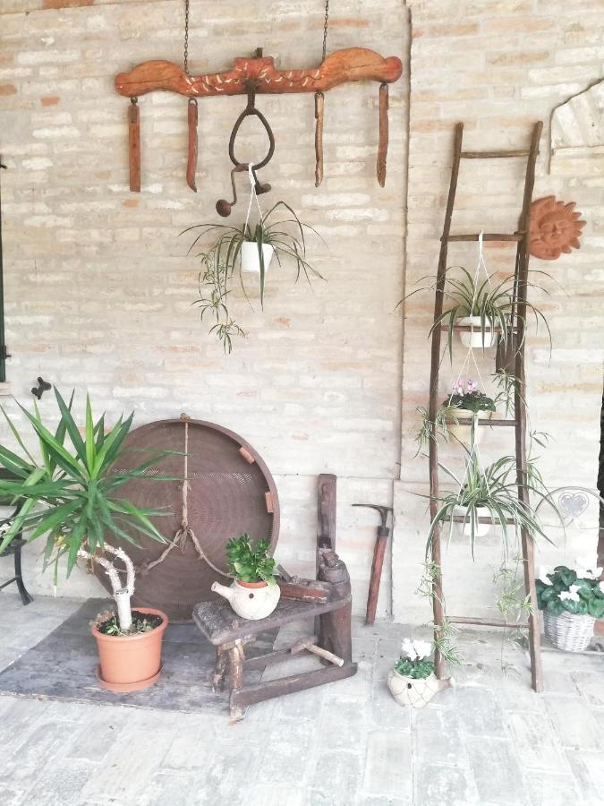 Casa Vacanza Flora Grottazzolina Eksteriør bilde