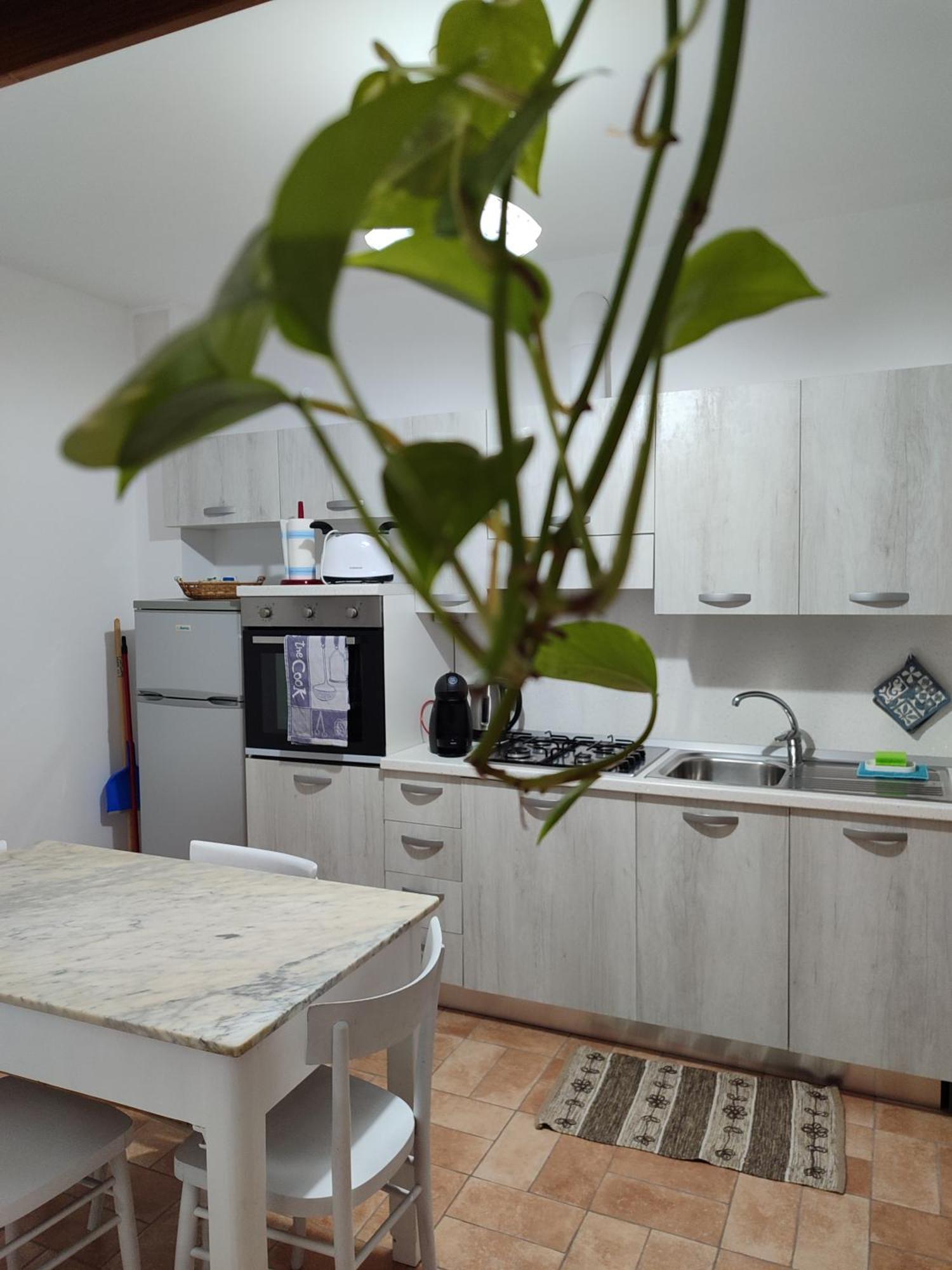 Casa Vacanza Flora Grottazzolina Eksteriør bilde